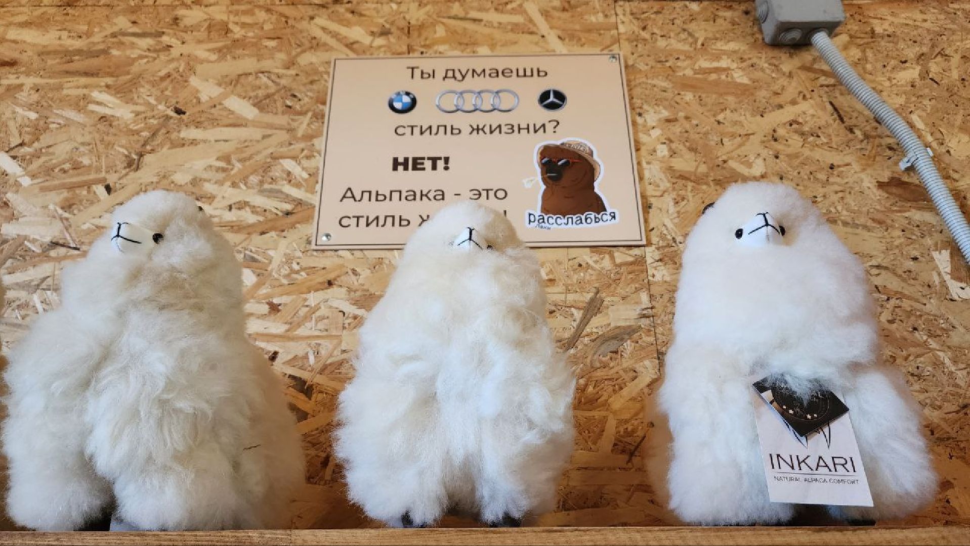 Дмитров, Ферма в Походкино, Российские альпаки, Туризм,