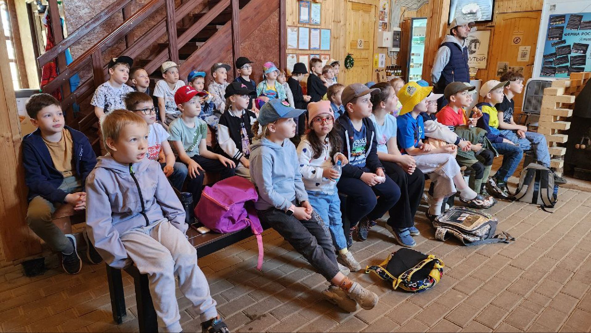 Дмитров, Ферма в Походкино, Российские альпаки, Туризм,