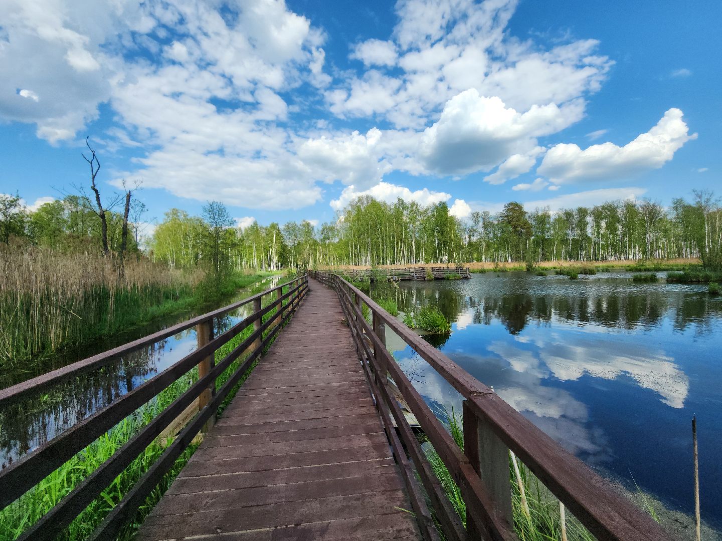 лосиный остров, мытищи,