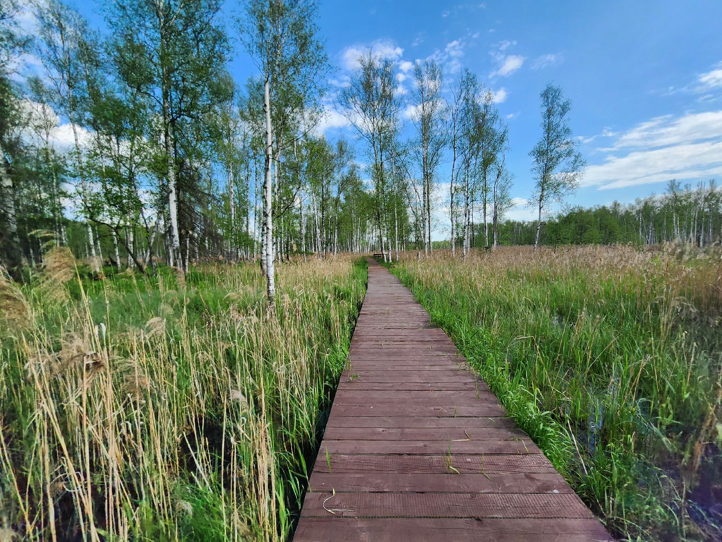 лосиный остров, мытищи,