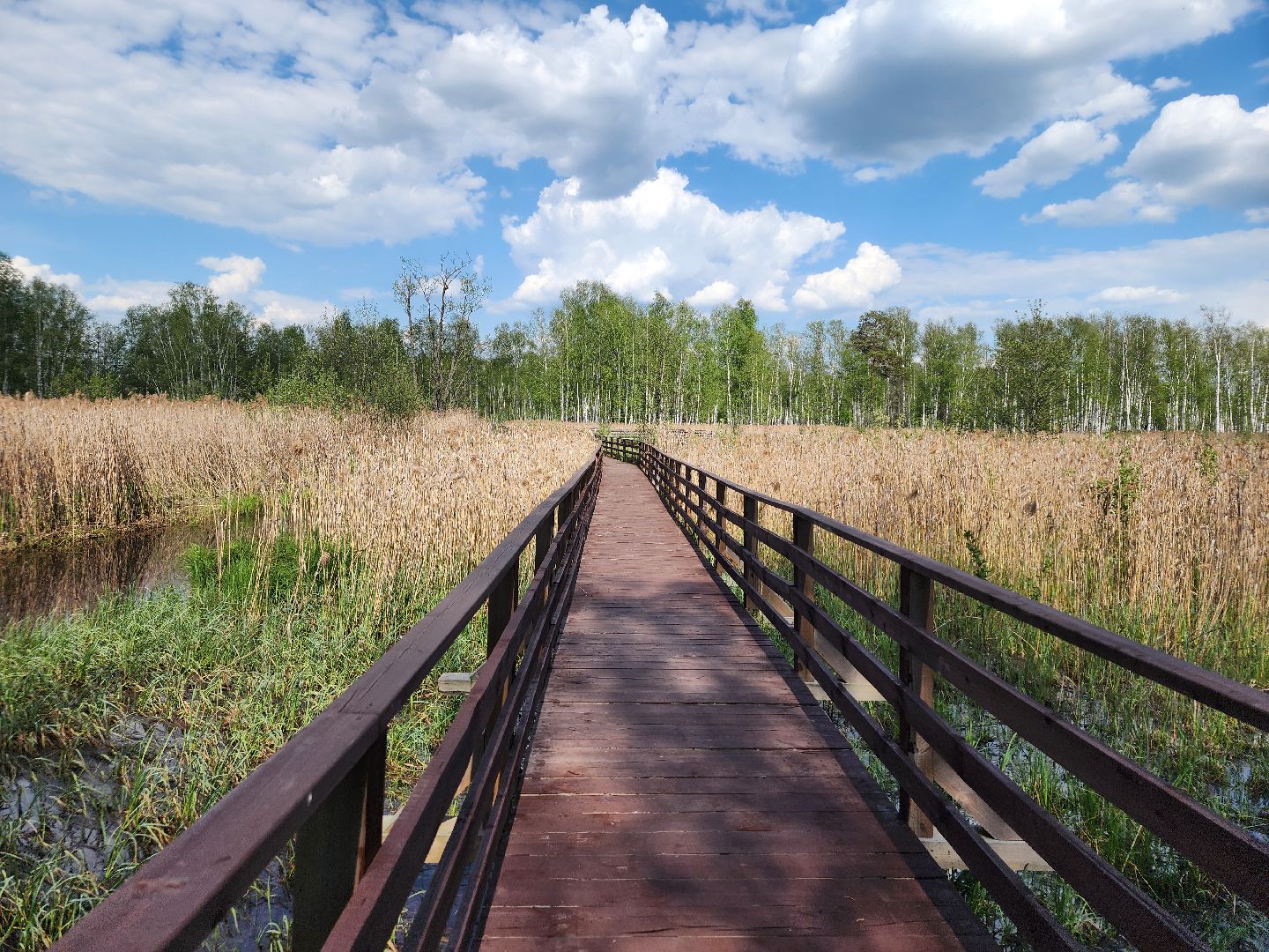 лосиный остров, мытищи,