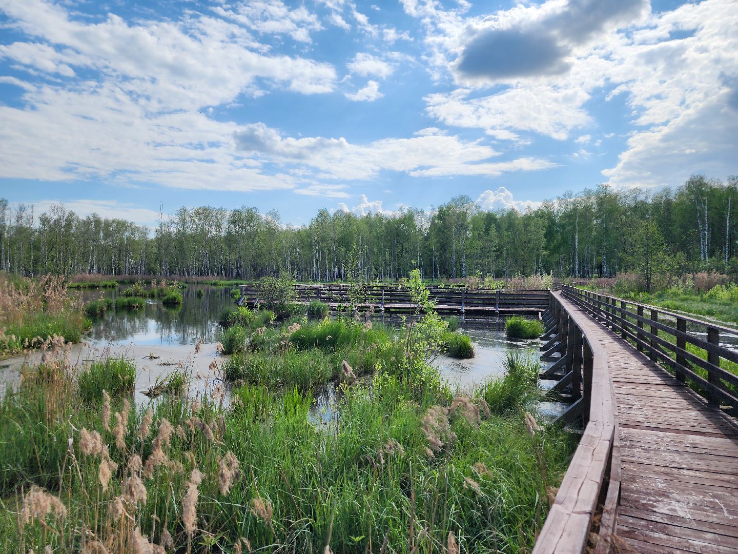 лосиный остров, мытищи,