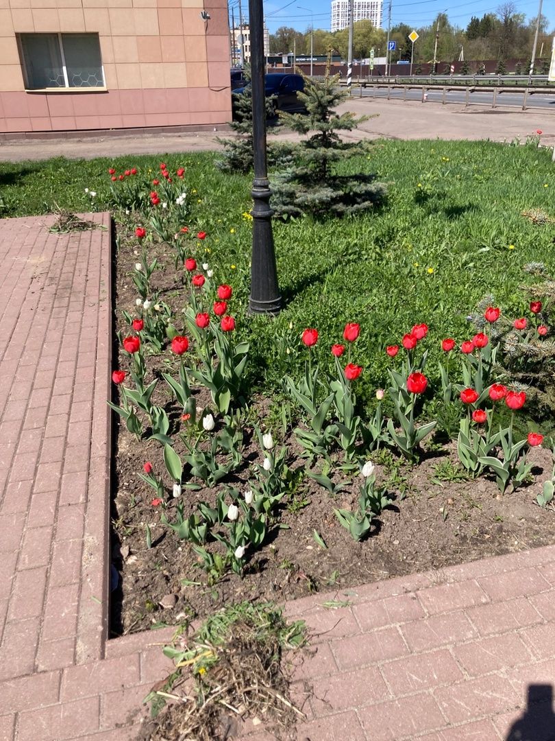 Солнечногорск, Советская площадь, братская могила, 9 мая, памятник