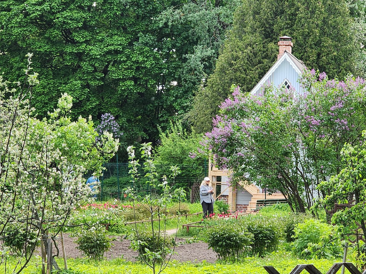 чехов, село мелихово, музей-заповедник, театральный фестиваль, мелиховская весна, антон чехов, спектакли, чайка, экскурсии, мероприятия, программа фестиваля, министерство культуры и туризма,