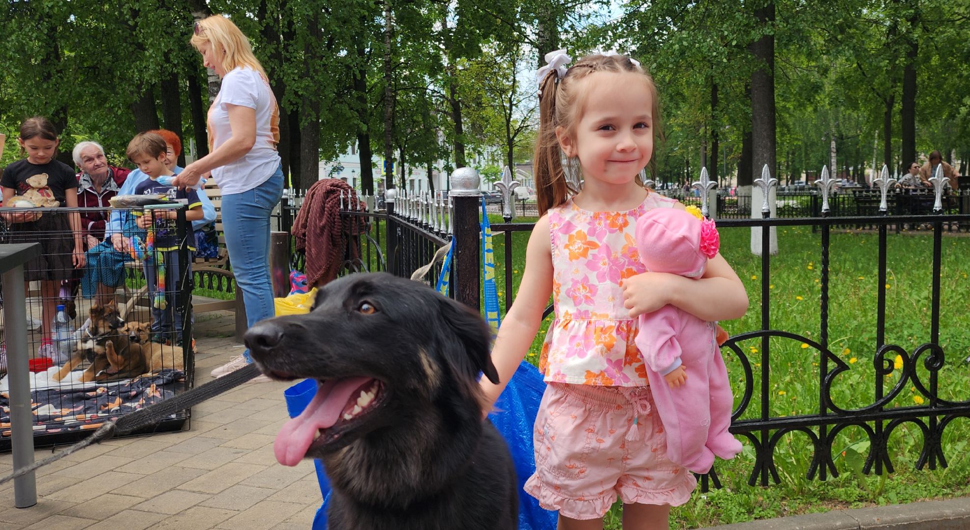 Общество, Выставка кошек и собак,  Акции зооактивистов,Домашние животные,