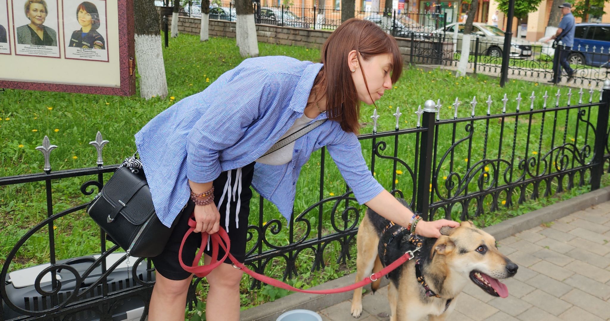 Общество, Выставка кошек и собак,  Акции зооактивистов,Домашние животные,