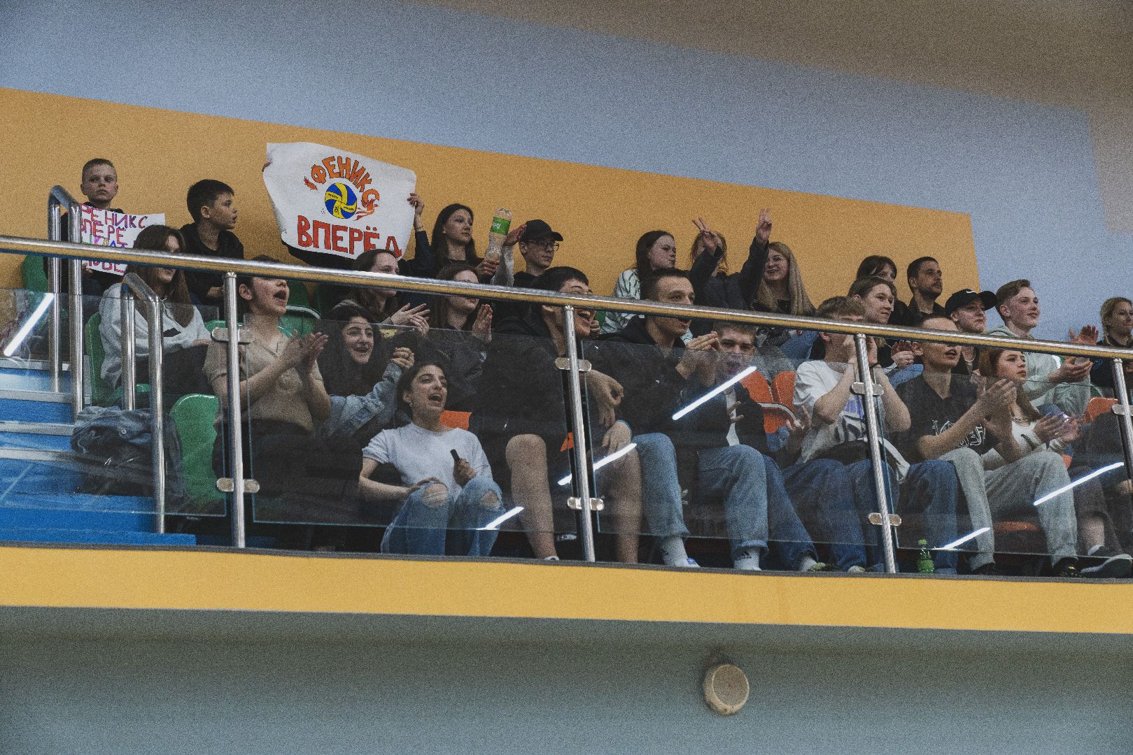 Отцы Подмосковья, волейбол, Домодедово