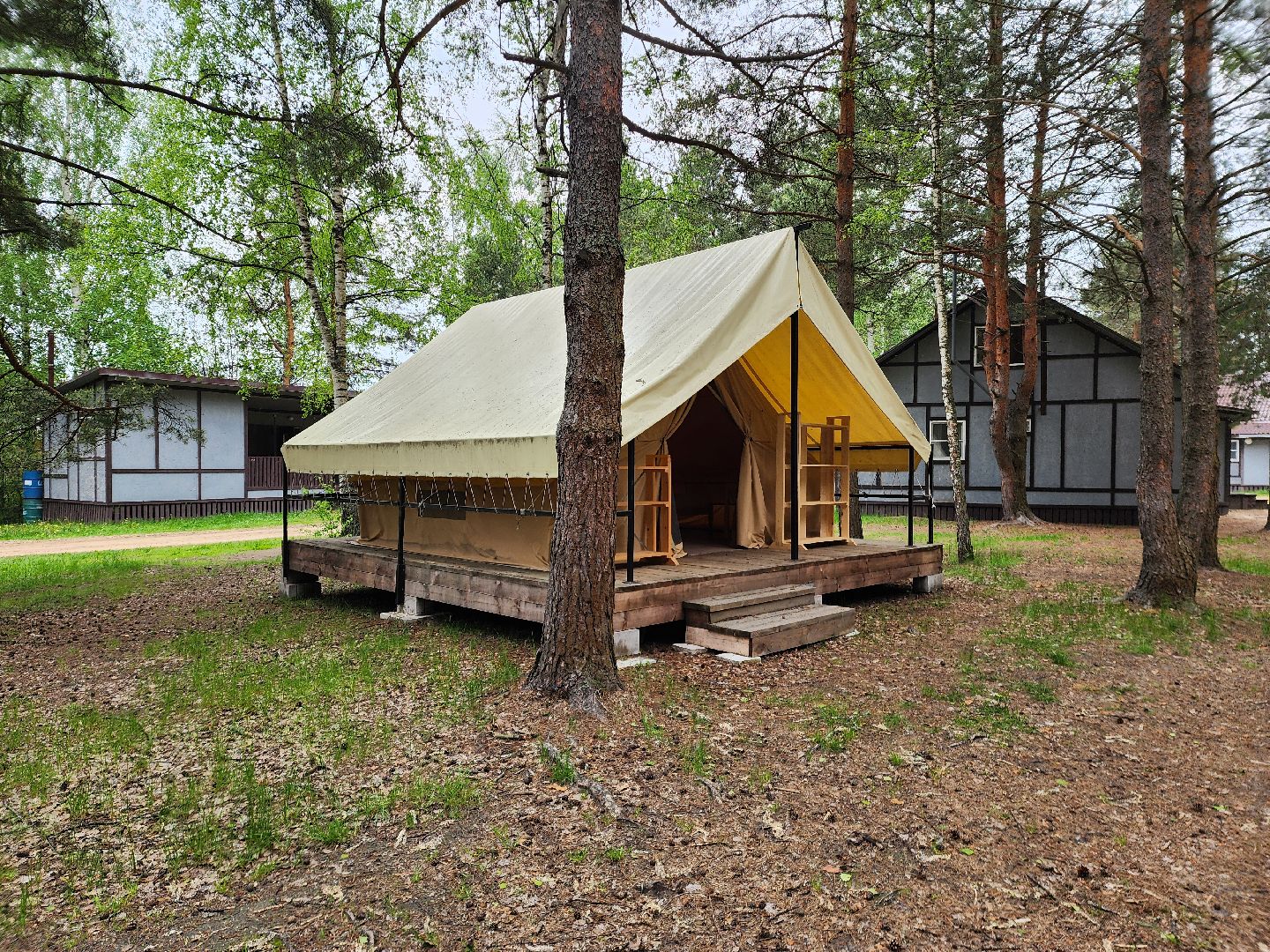 туризм в подмосковье, шатурский округ, терра ностра, детский лагерь, глэмпинг,