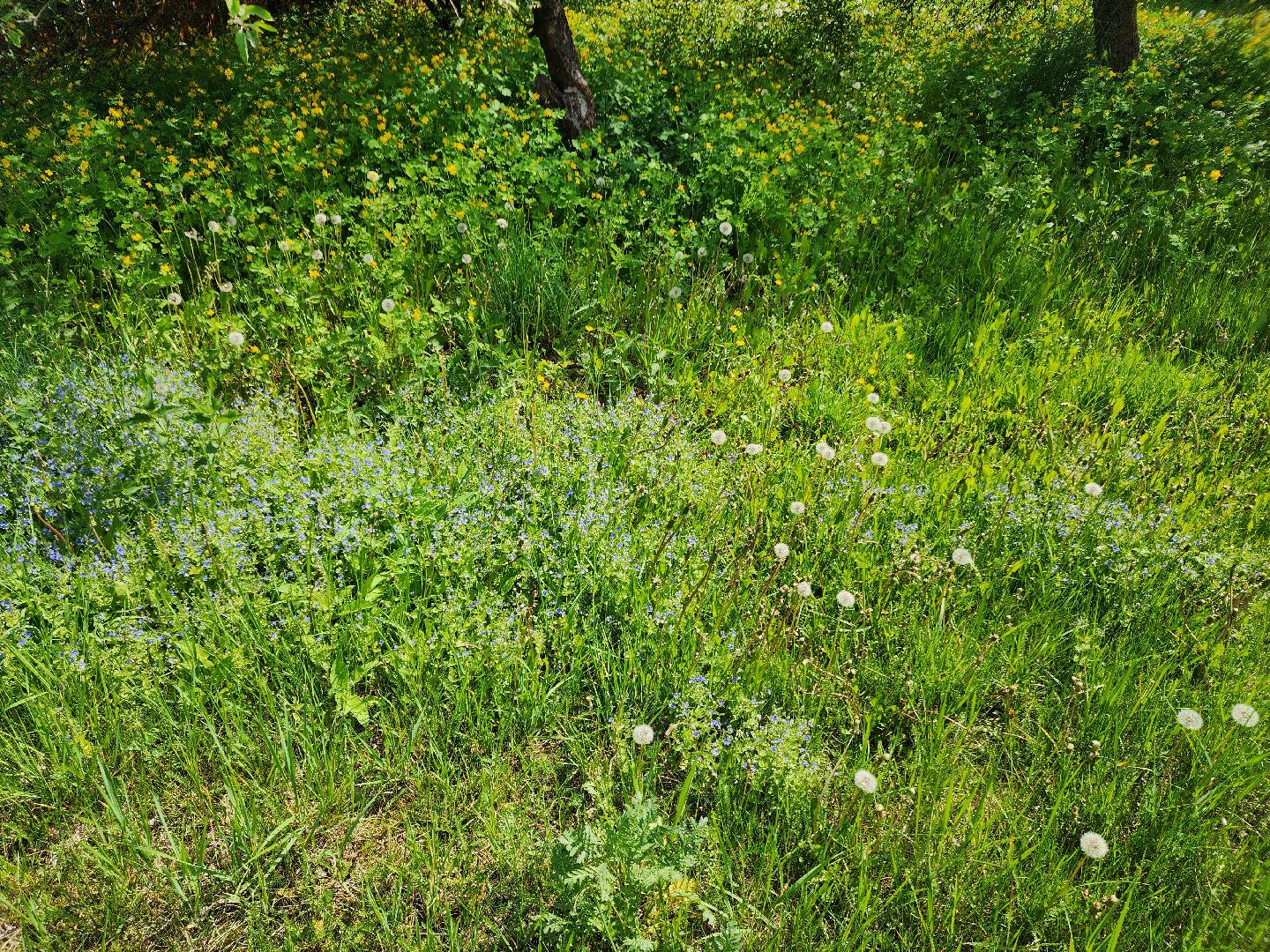 аллергия, шатура,шатурская больница,