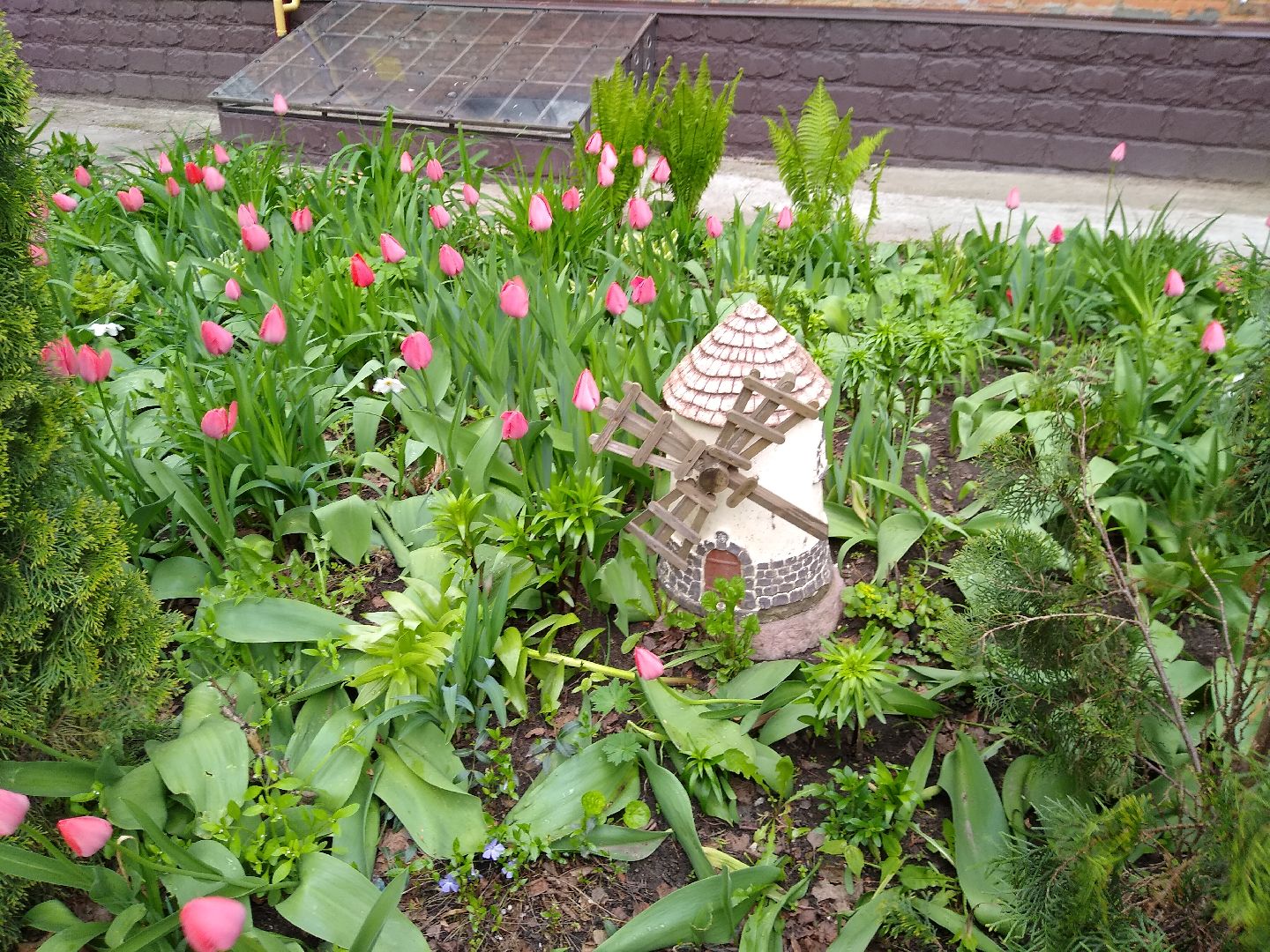 Раменское, благоустройство, тюльпаны