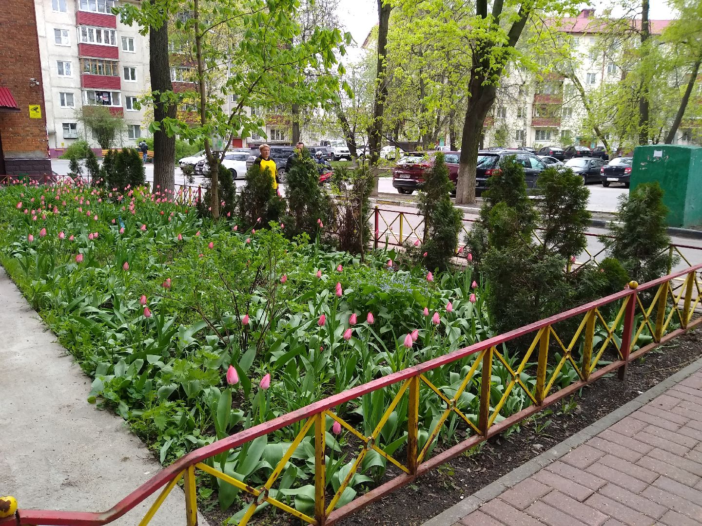 Раменское, благоустройство, тюльпаны