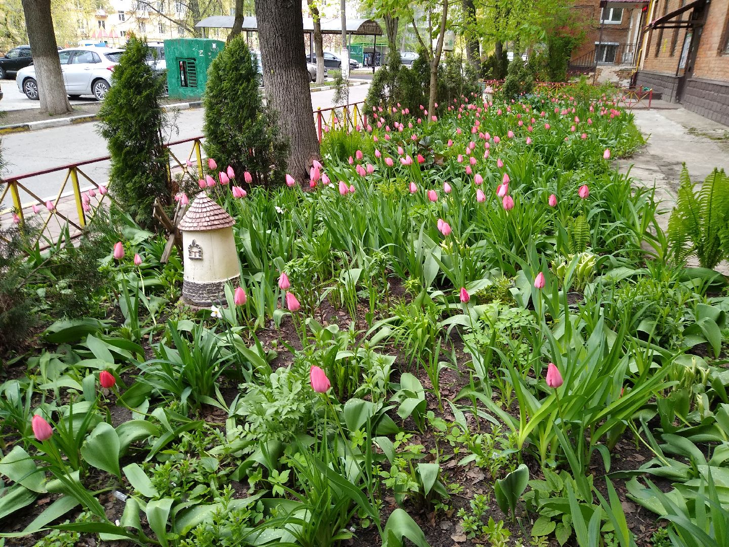 Раменское, благоустройство, тюльпаны
