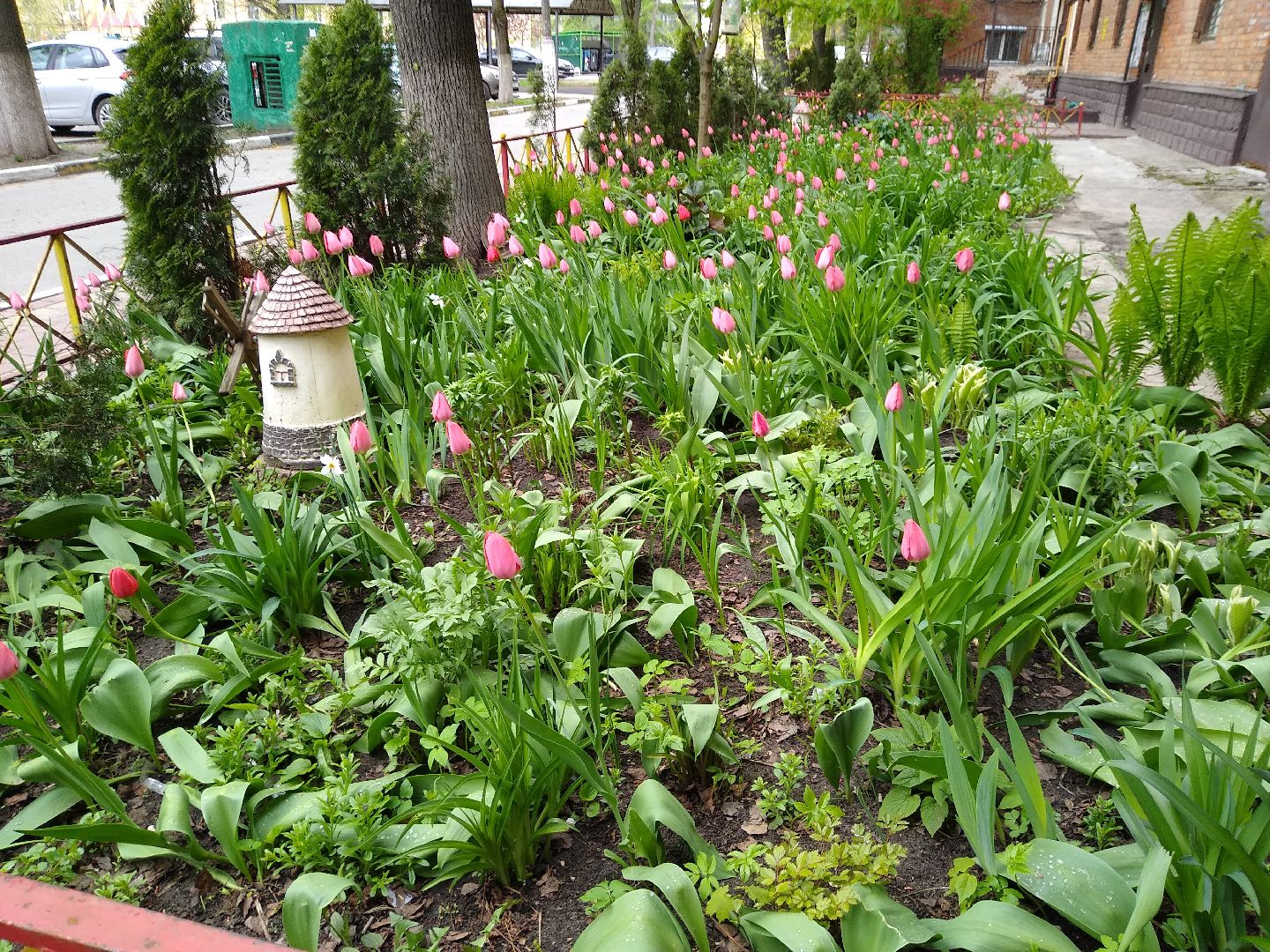 Раменское, благоустройство, тюльпаны