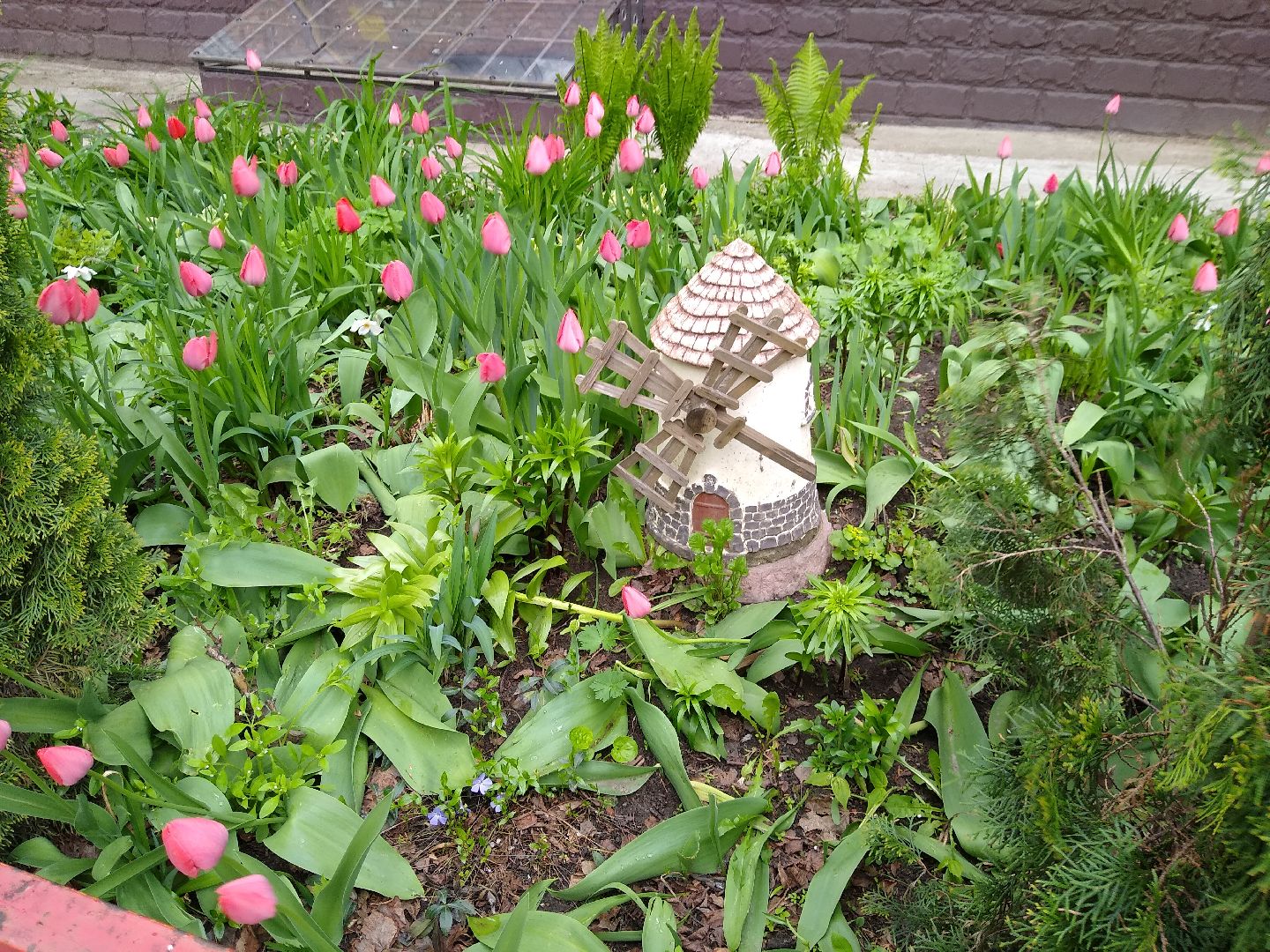 Раменское, благоустройство, тюльпаны