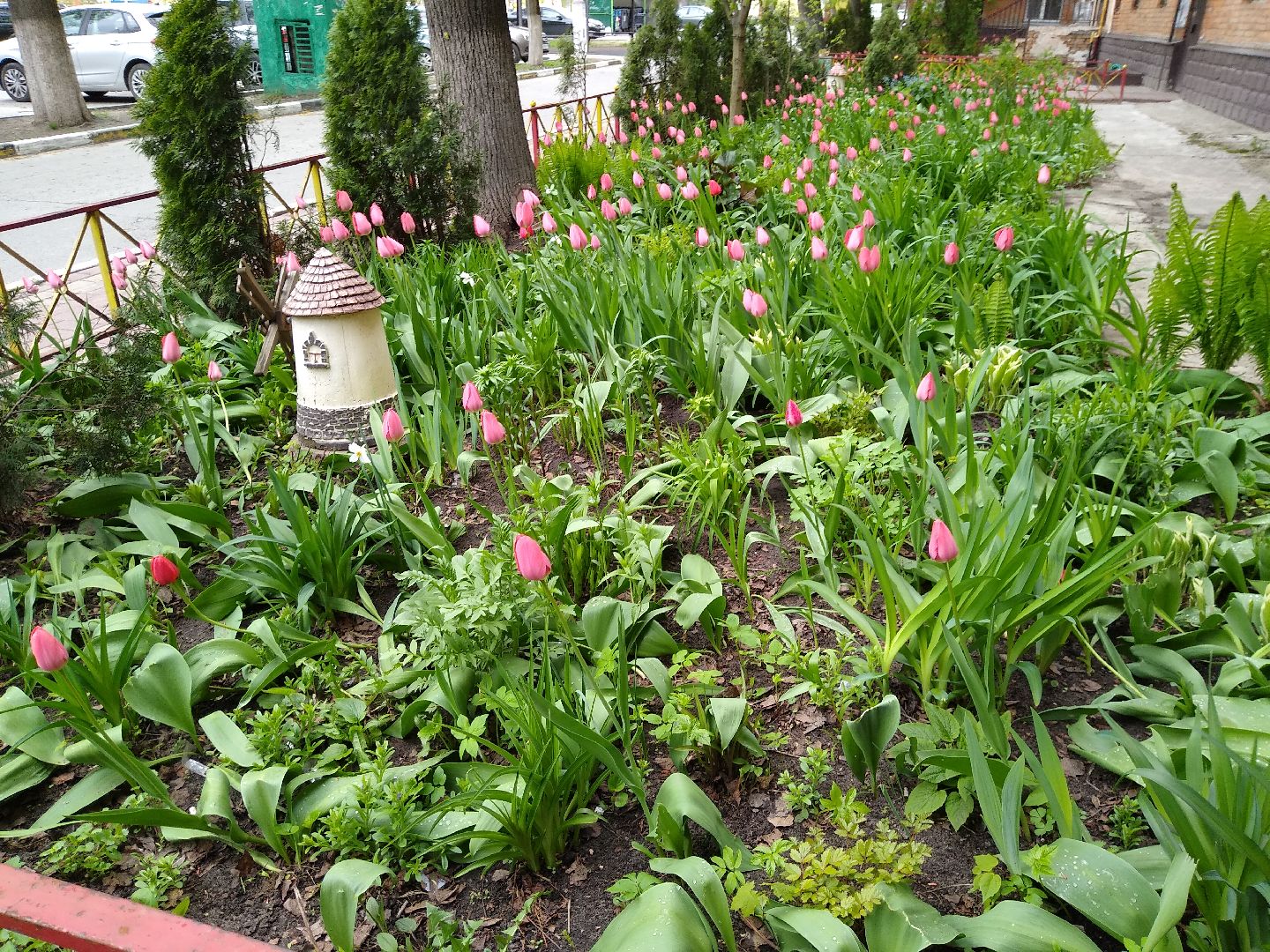 Раменское, благоустройство, тюльпаны
