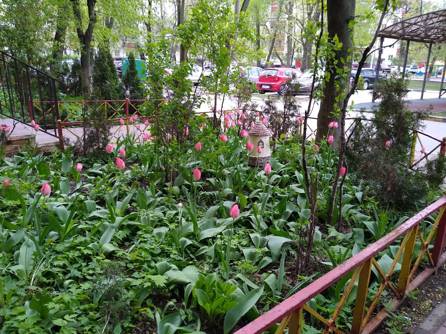 Раменское, благоустройство, тюльпаны