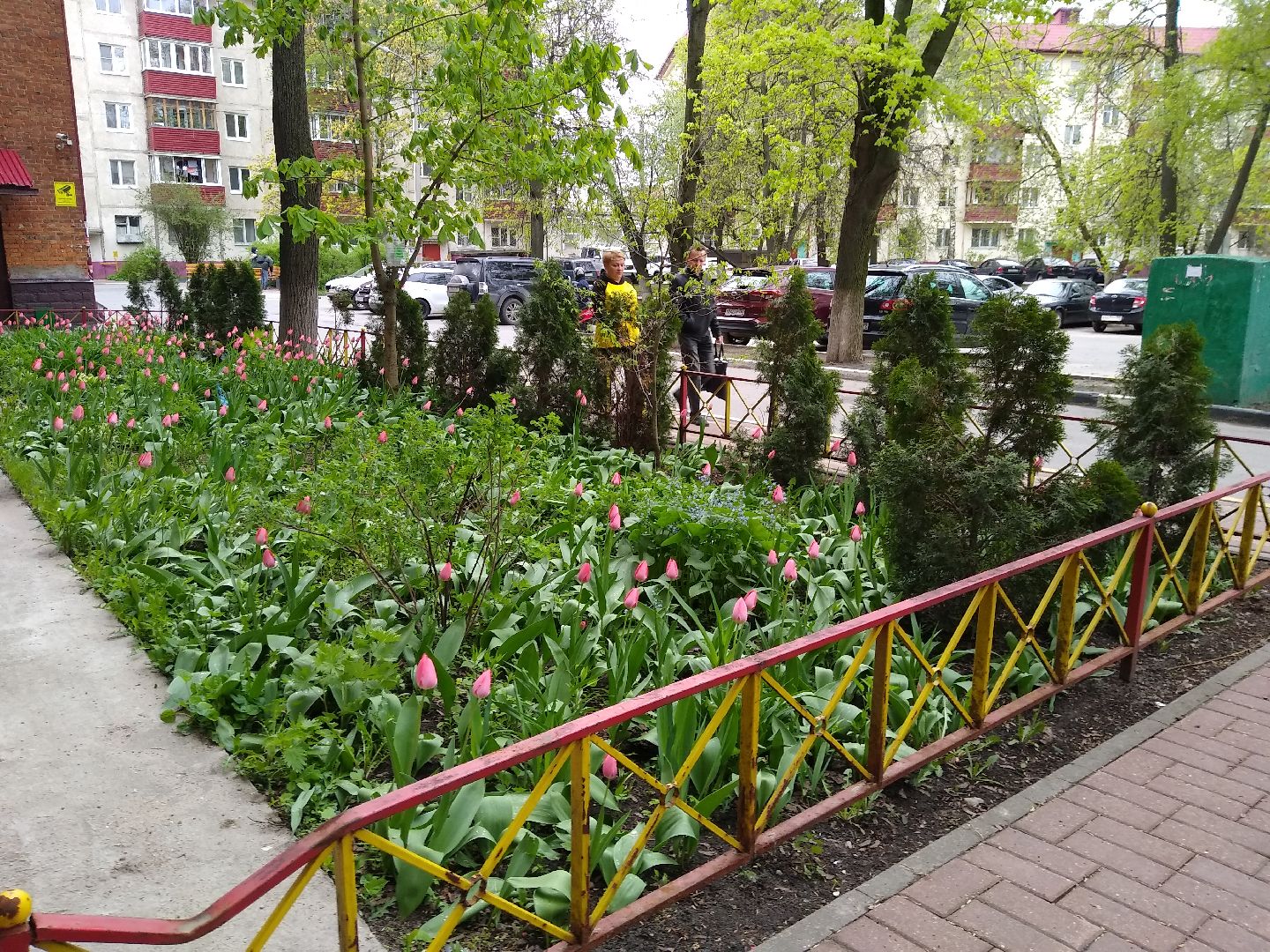 Раменское, благоустройство, тюльпаны