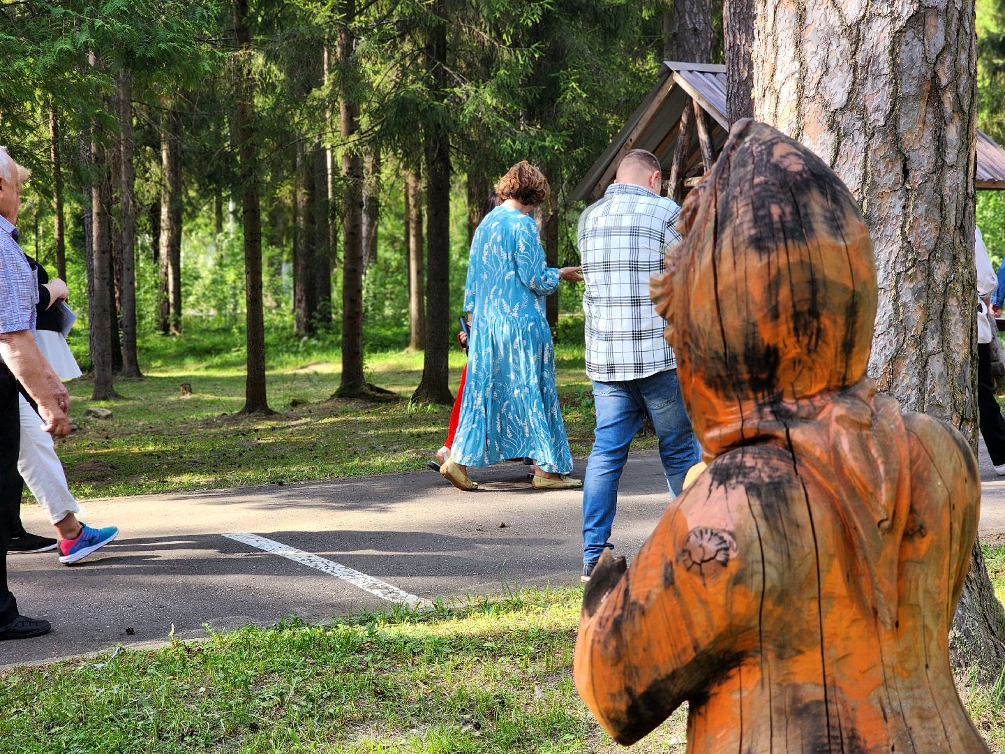 дубна, сосновый бор, летний лагерь, комиссия,