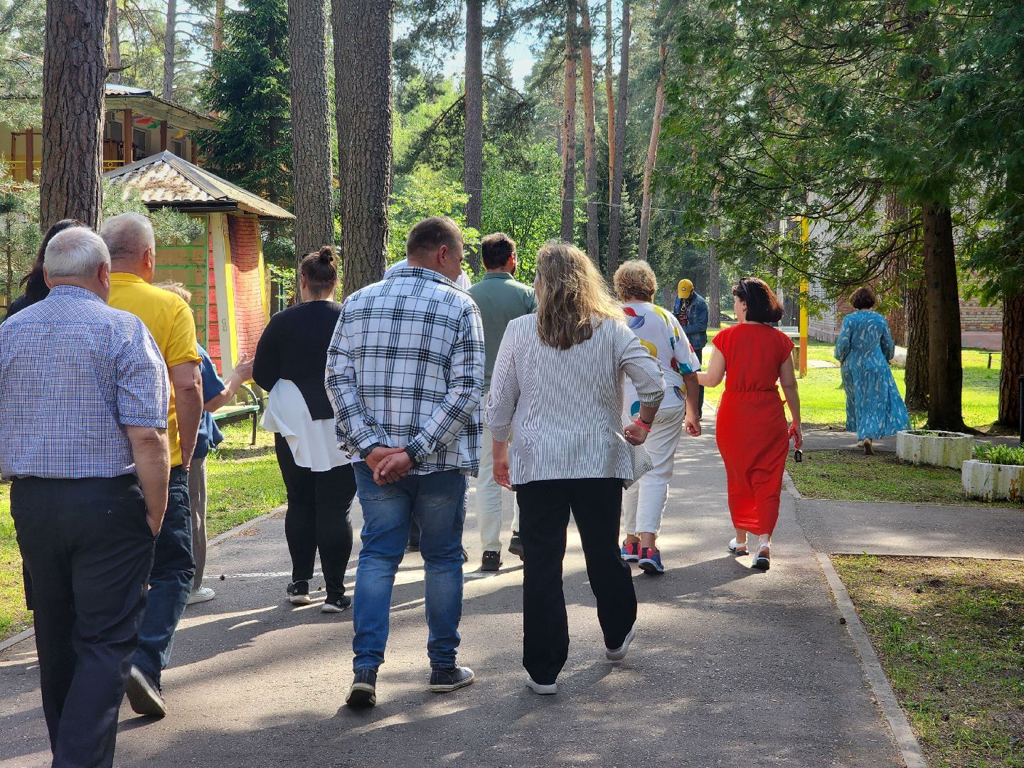 дубна, сосновый бор, летний лагерь, комиссия,