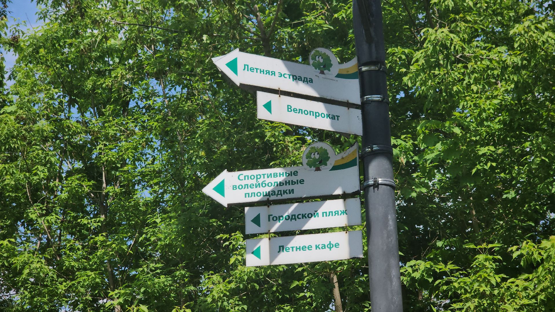 благоустройство парка, щёлково, центральный парк,