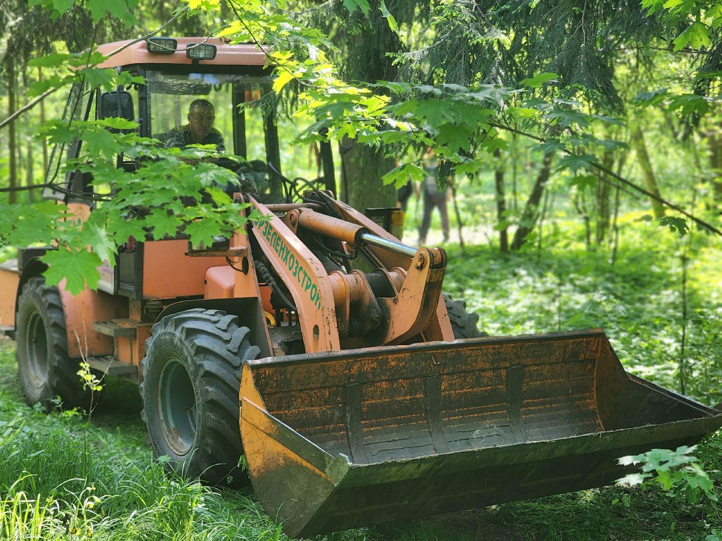 королёв, верхний комитетский лес, субботник в королеве,