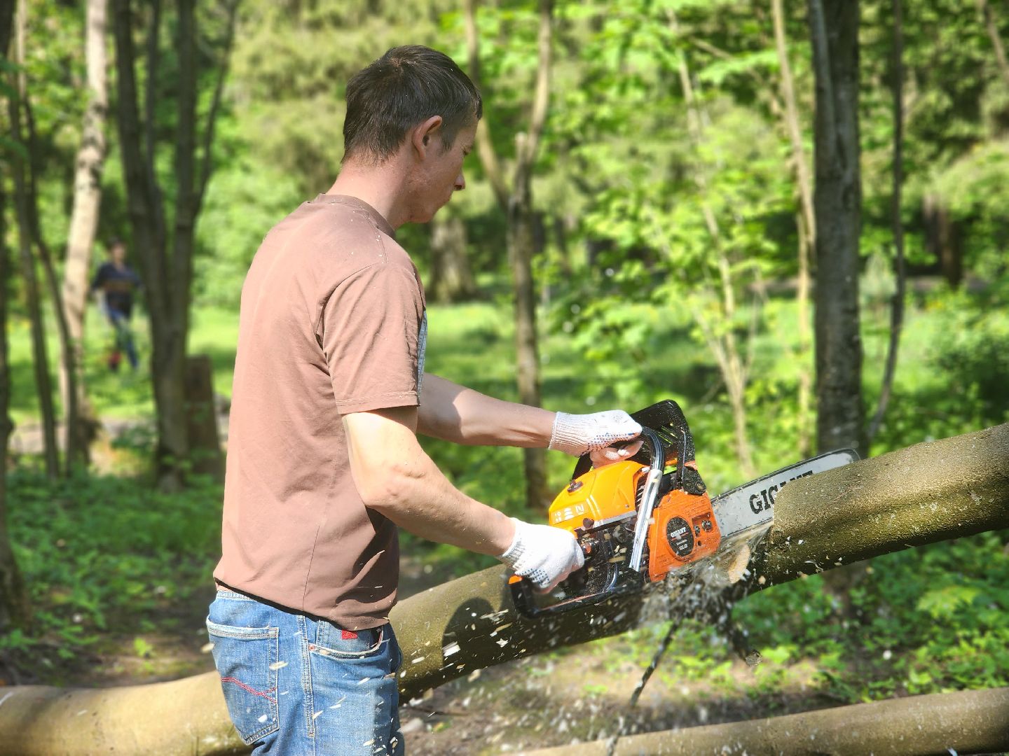 королёв, верхний комитетский лес, субботник в королеве,