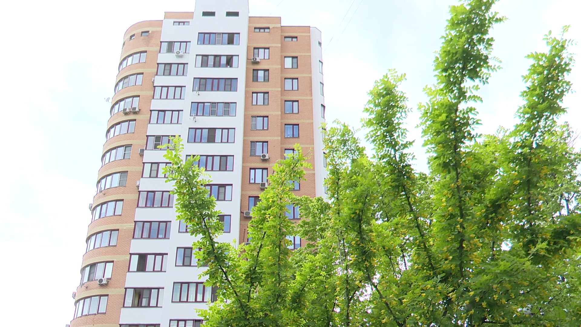 реутов, парк, деревья, кустарники, благоустройство,