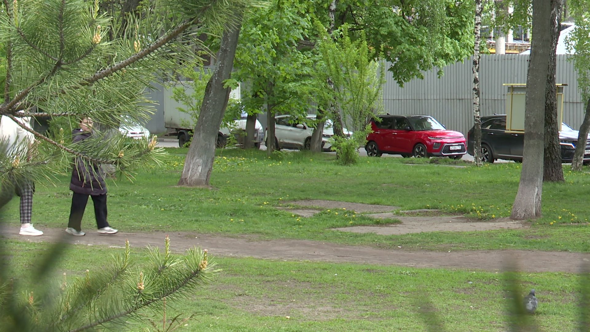 реутов, парк, деревья, кустарники, благоустройство,