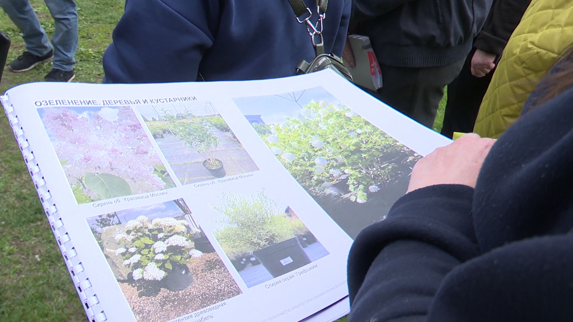 реутов, парк, деревья, кустарники, благоустройство,