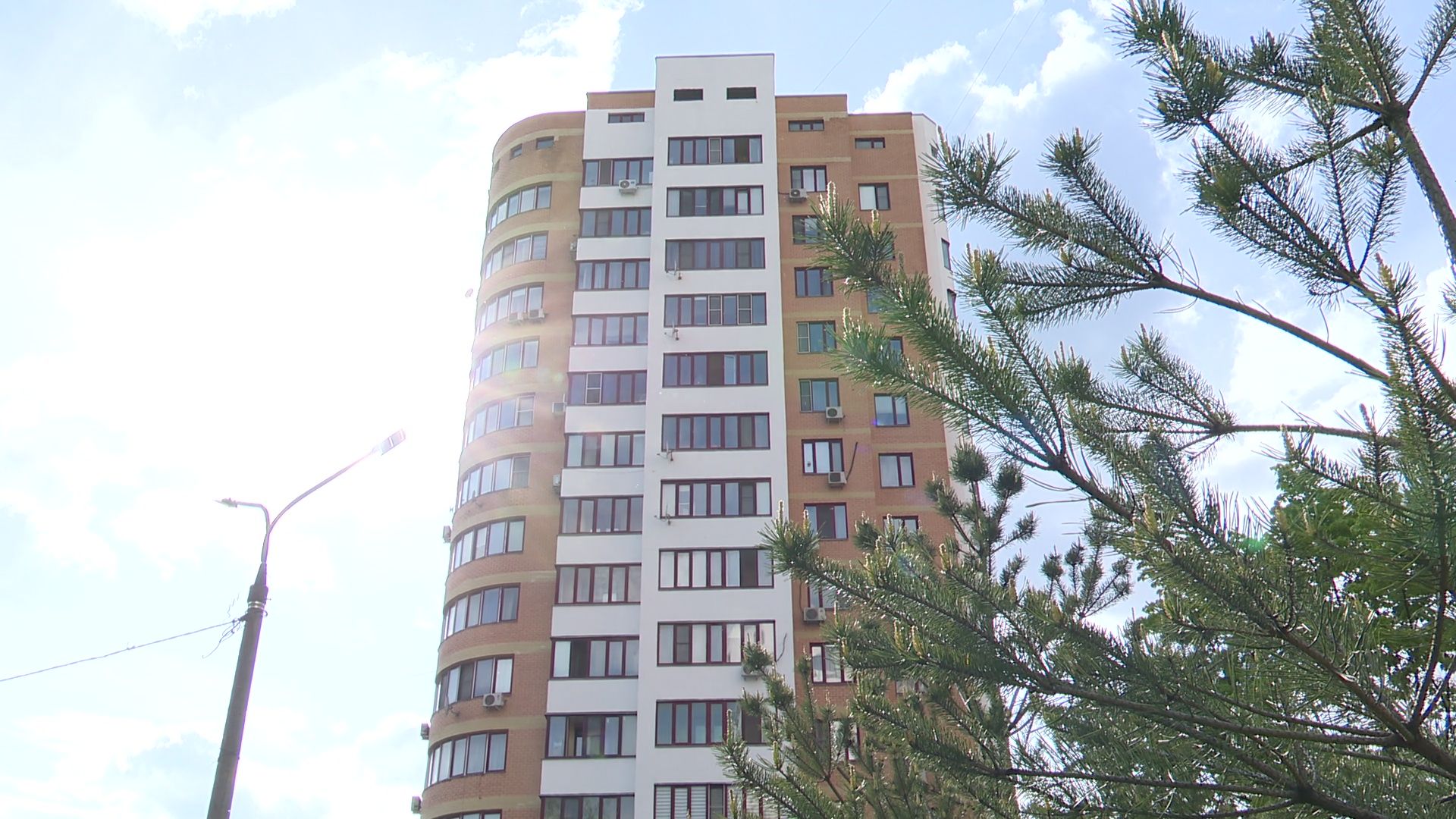 реутов, парк, деревья, кустарники, благоустройство,