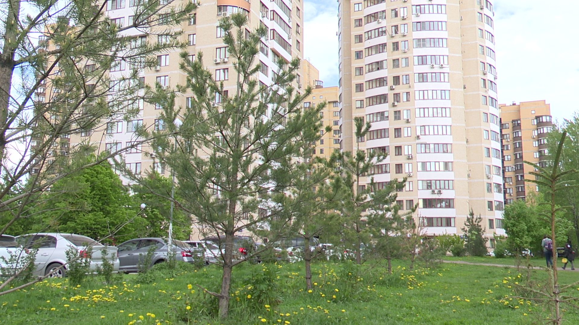 реутов, парк, деревья, кустарники, благоустройство,