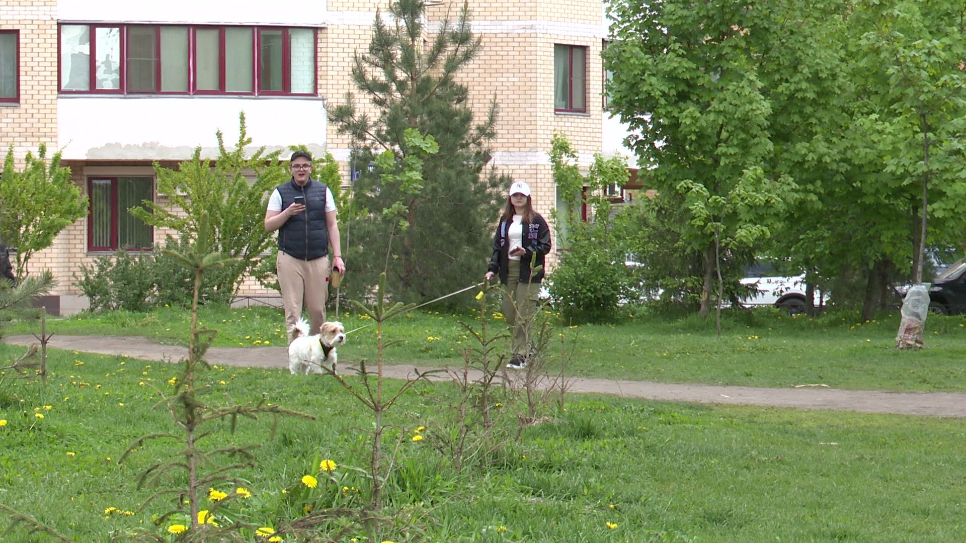 реутов, парк, деревья, кустарники, благоустройство,