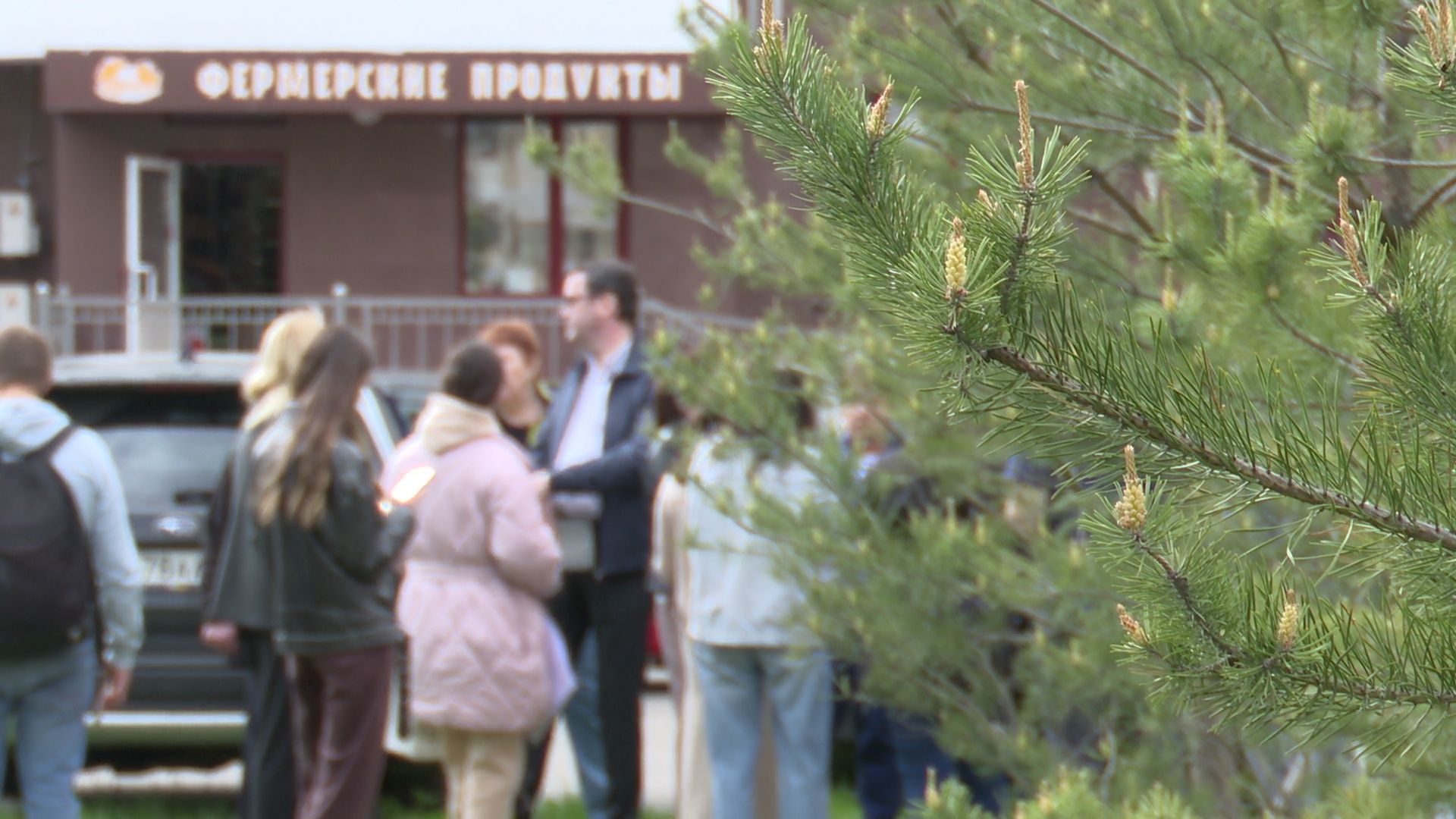 реутов, парк, деревья, кустарники, благоустройство,