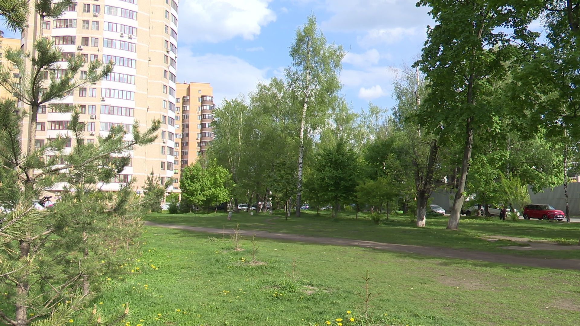 реутов, парк, деревья, кустарники, благоустройство,