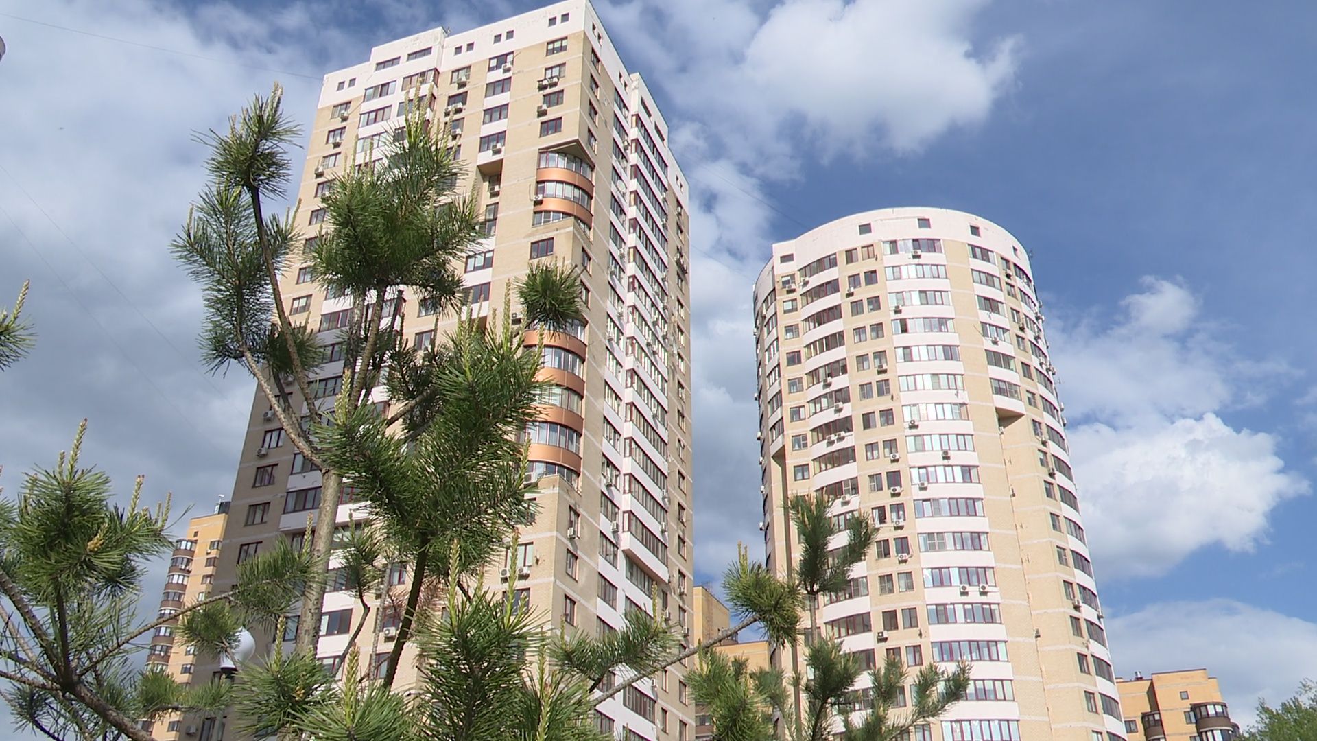 реутов, парк, деревья, кустарники, благоустройство,