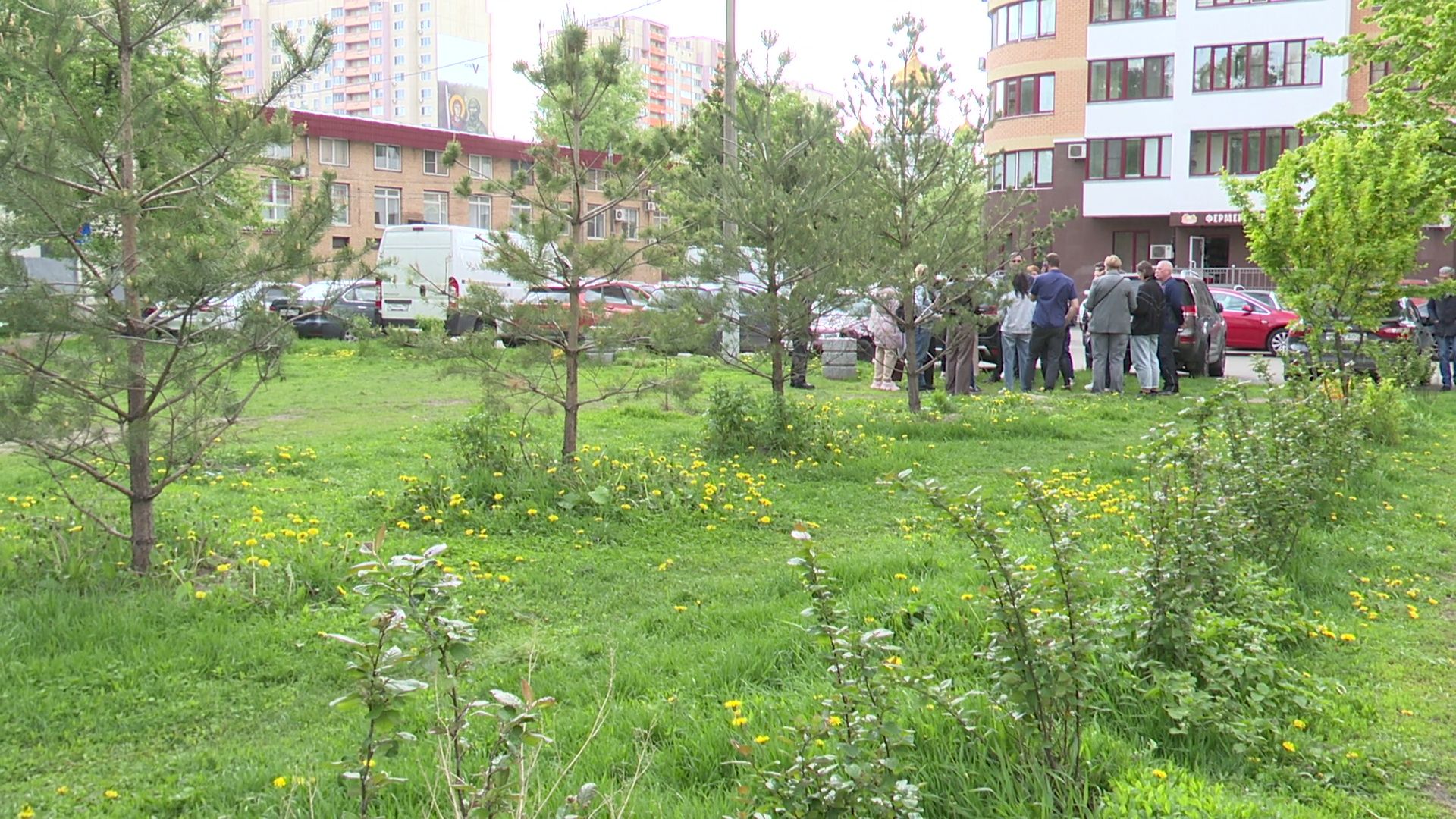 реутов, парк, деревья, кустарники, благоустройство,