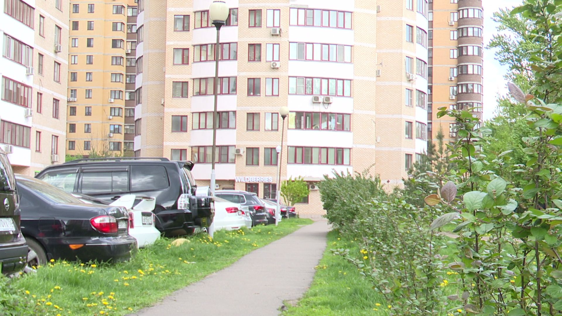 реутов, парк, деревья, кустарники, благоустройство,