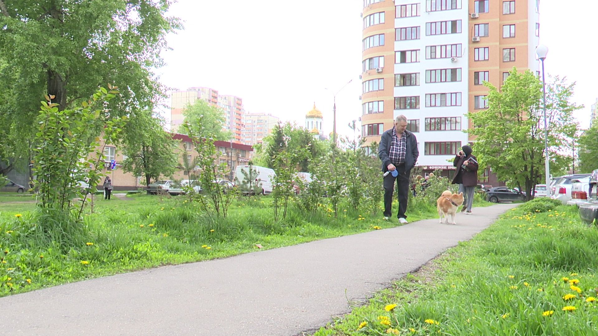 реутов, парк, деревья, кустарники, благоустройство,