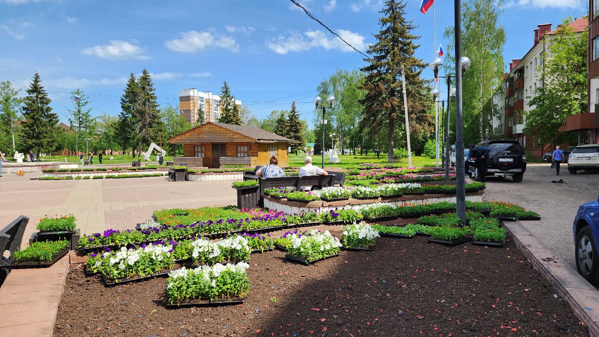 солнечногорск, советская площадь, цветы, благоустройство,