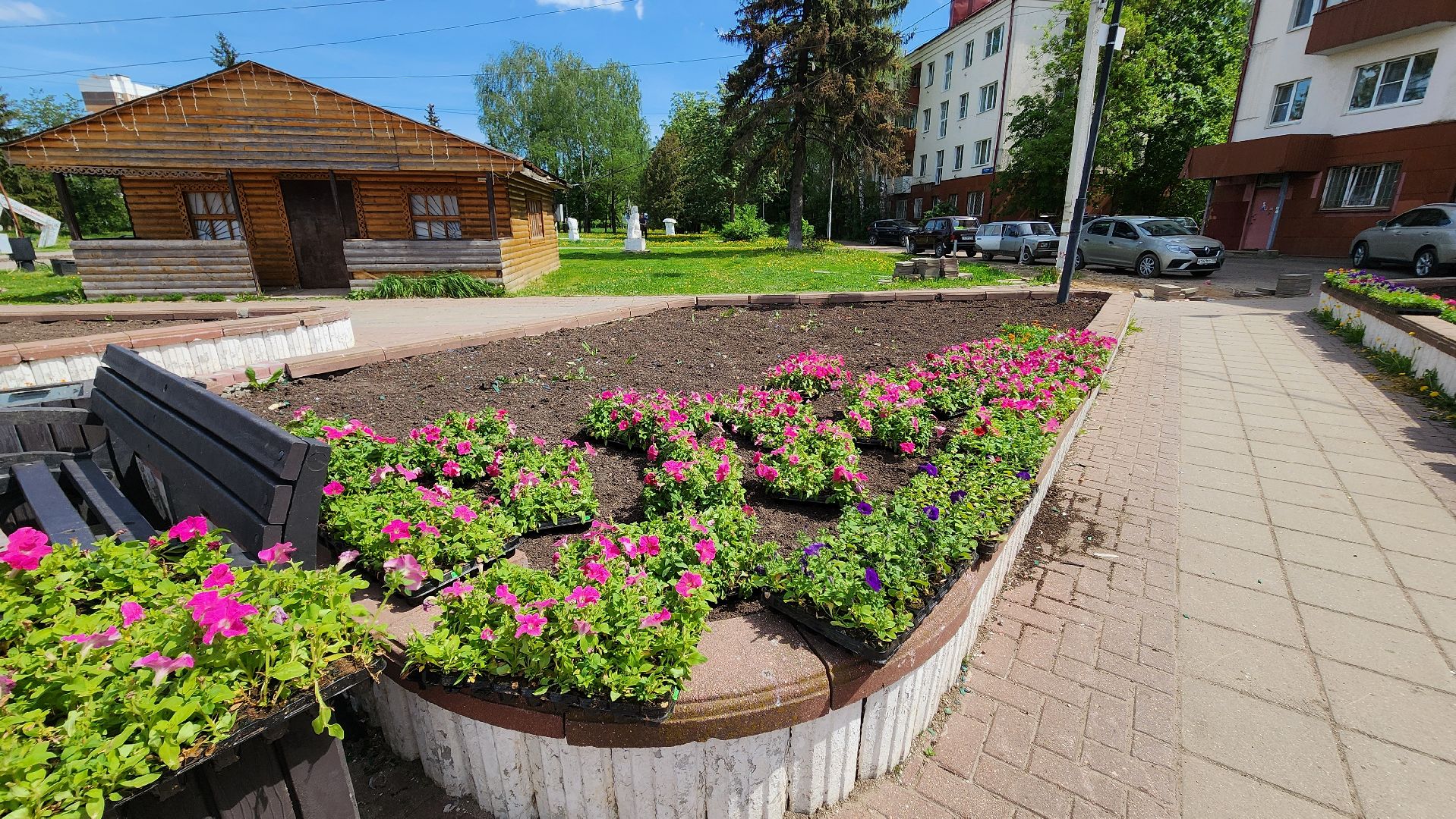солнечногорск, советская площадь, цветы, благоустройство,