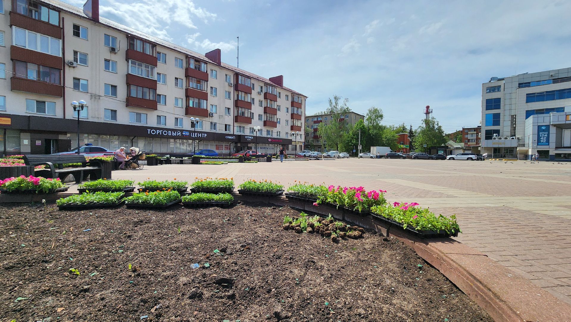 солнечногорск, советская площадь, цветы, благоустройство,