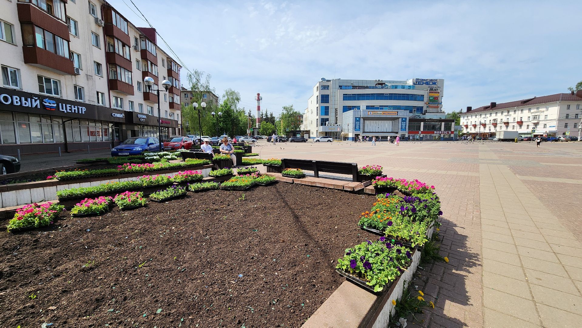солнечногорск, советская площадь, цветы, благоустройство,