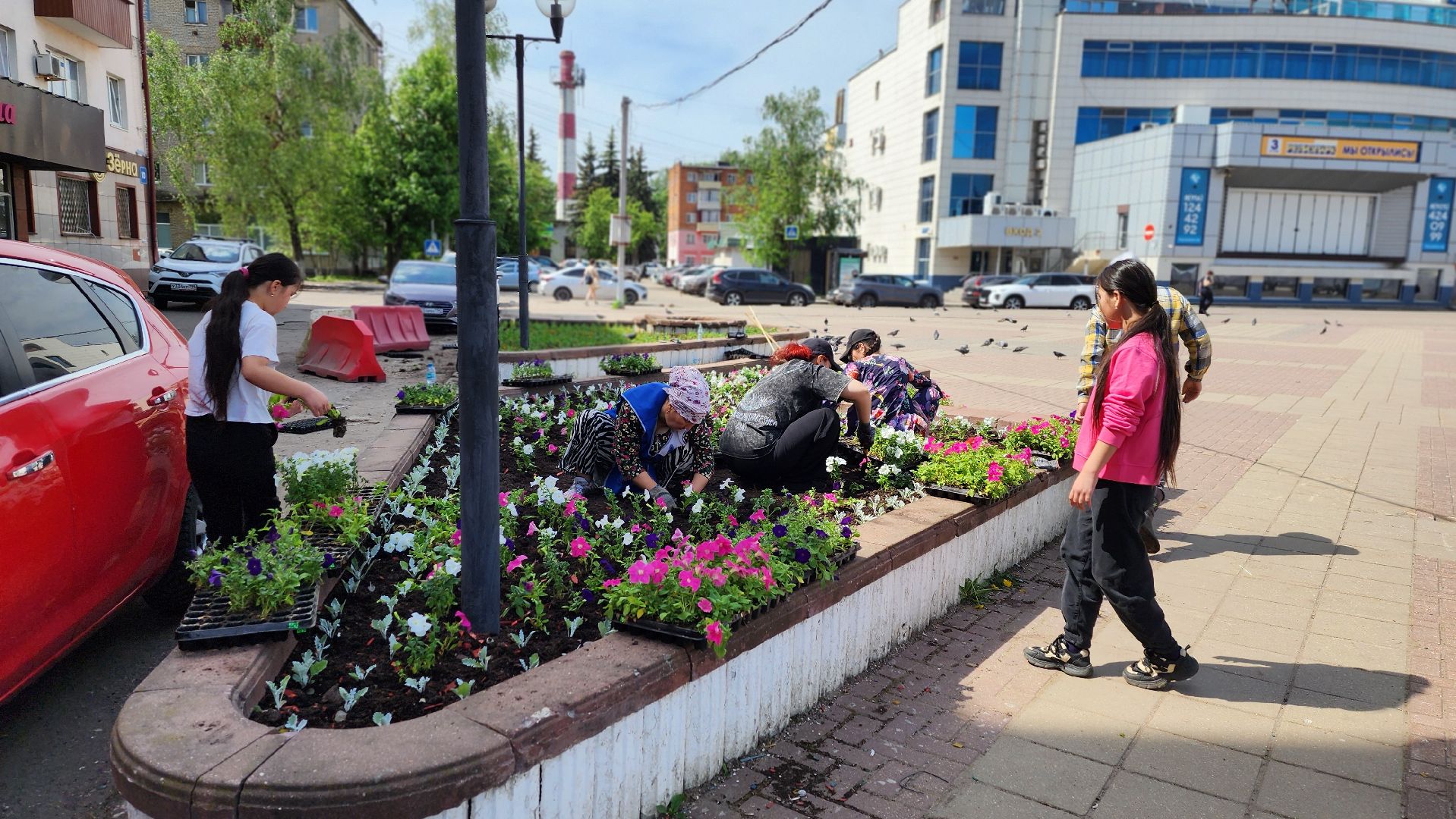 солнечногорск, советская площадь, цветы, благоустройство,
