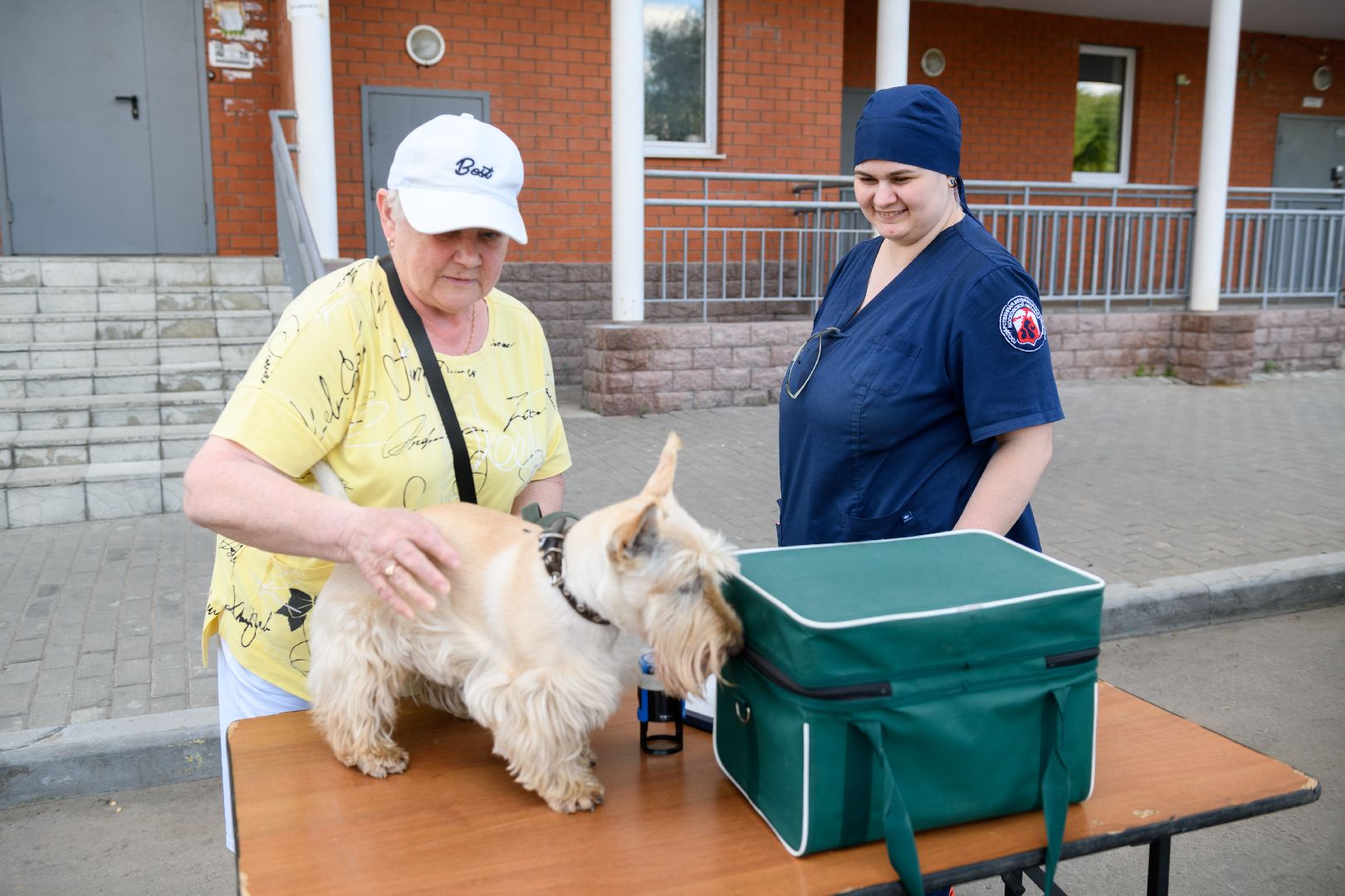 медицина, вакцинация, вакцинация животных от бешенства, лыткарино, лыткаринская участковая ветеринарная лечебница,