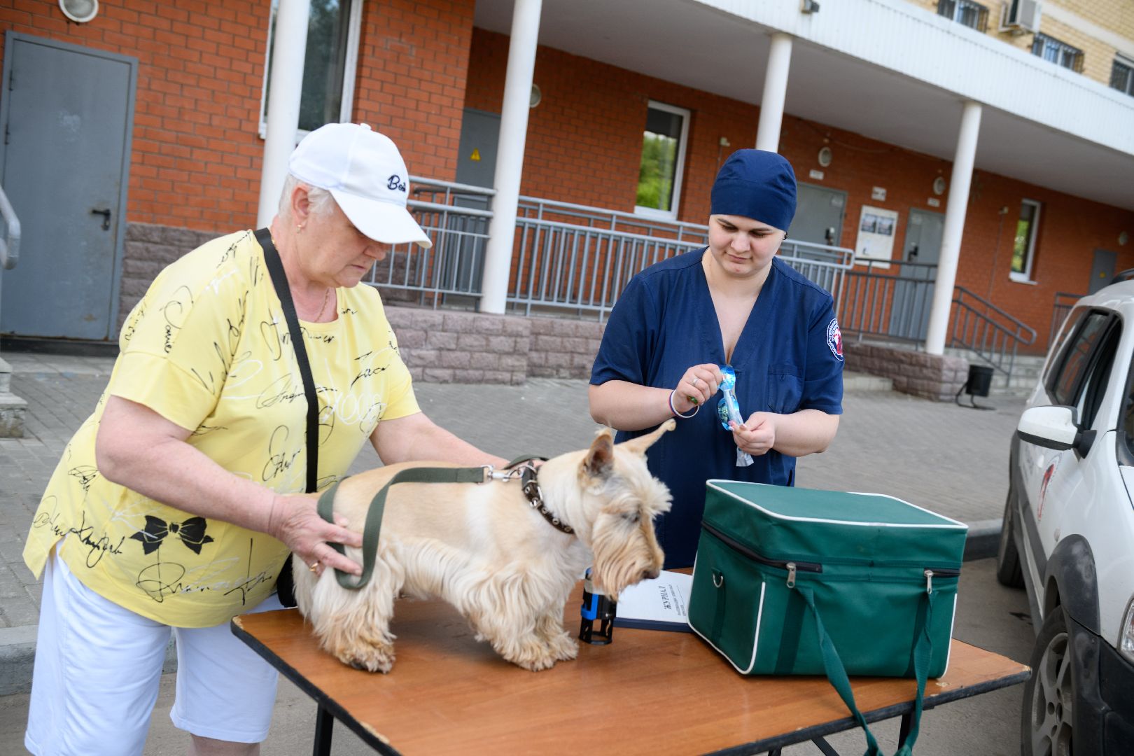 медицина, вакцинация, вакцинация животных от бешенства, лыткарино, лыткаринская участковая ветеринарная лечебница,
