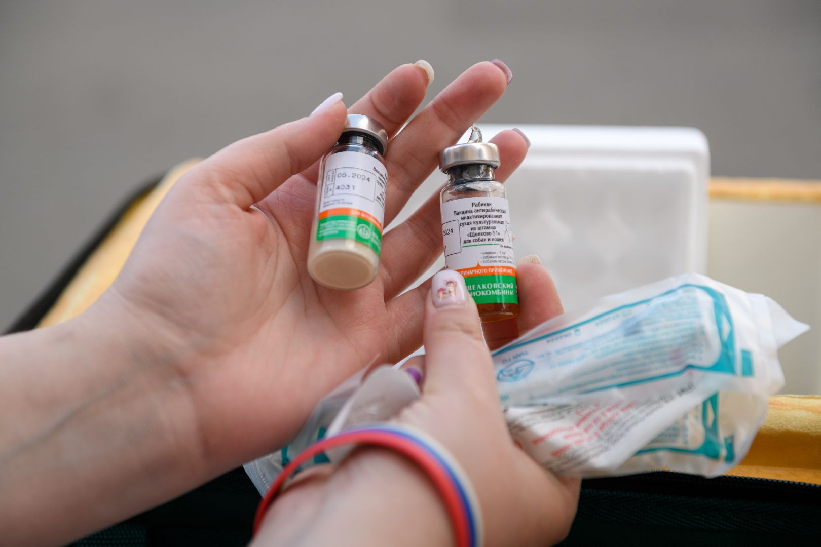 медицина, вакцинация, вакцинация животных от бешенства, лыткарино, лыткаринская участковая ветеринарная лечебница,