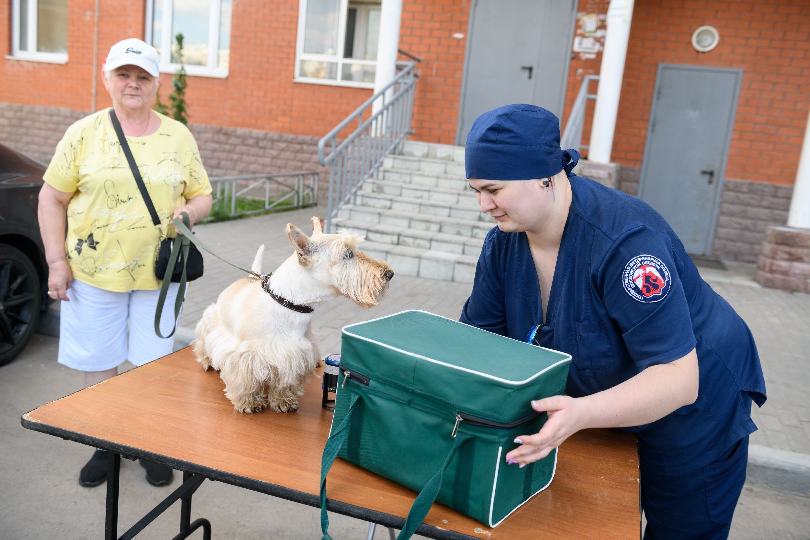 медицина, вакцинация, вакцинация животных от бешенства, лыткарино, лыткаринская участковая ветеринарная лечебница,