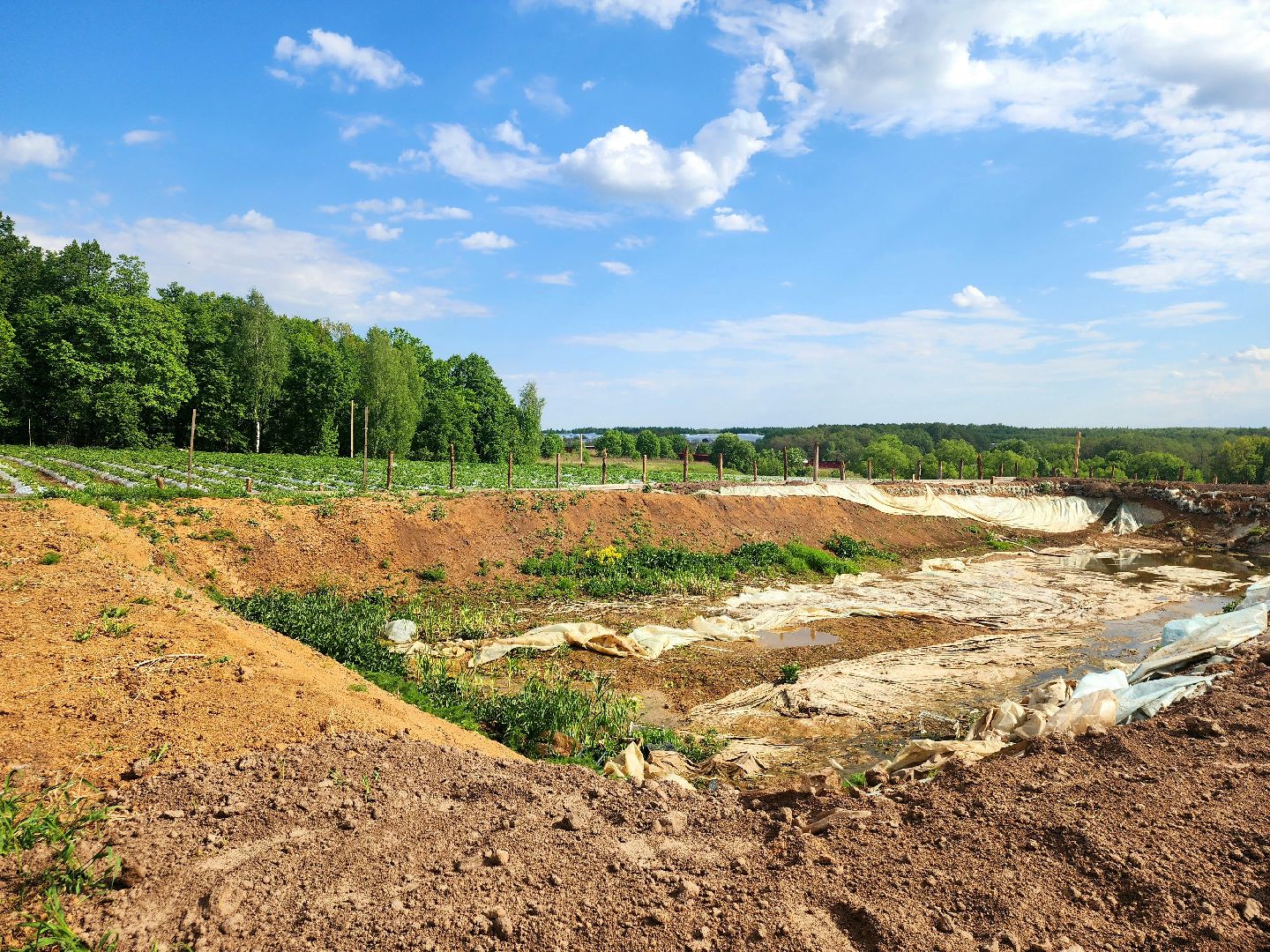 пущино, серпухов, агротуризм, фермеры,