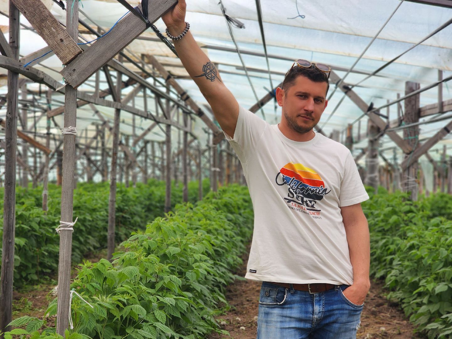 пущино, серпухов, агротуризм, фермеры,