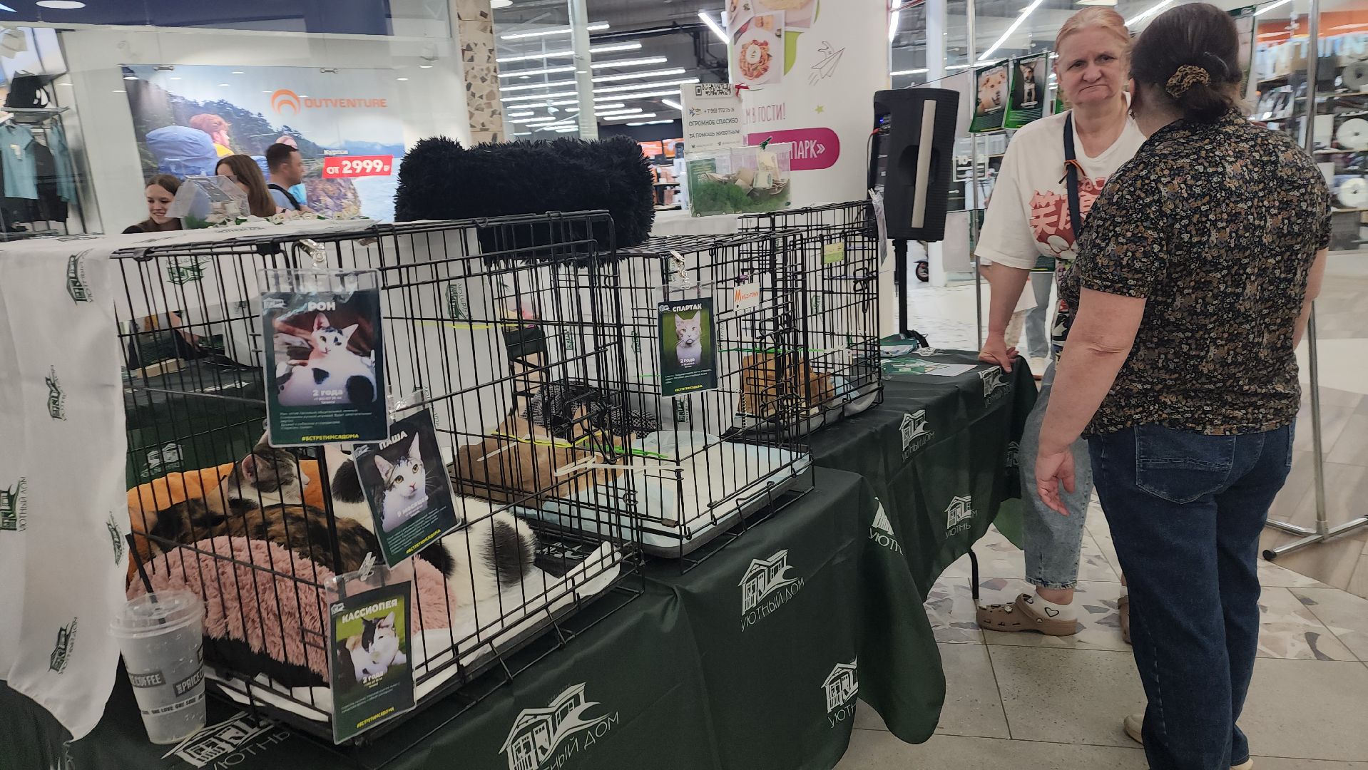 пушкино, пушкино парк,бездомные животные, пристройство,кедры,собаки,кошки,дом доброты,